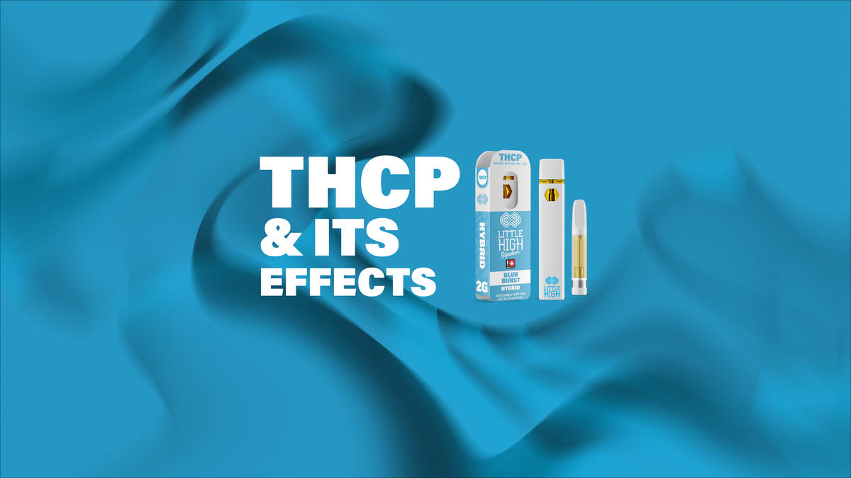 What is THCP: A Complete Guide