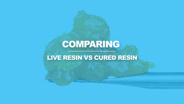 Live Resin VS Cured Resin