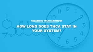 How Long Does THCA Stay in Your System?