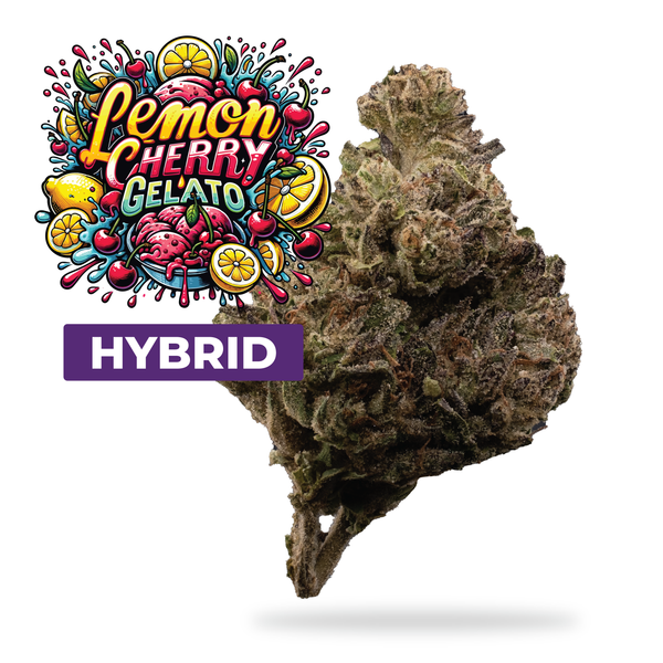 Big High Lemon Cherry Gelato THCA Flower