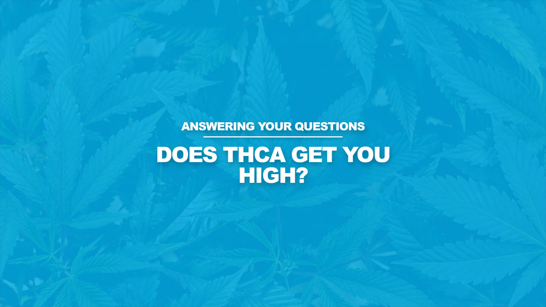 How Does Thca Get You High Does THCA Get You High? | Little High