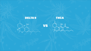 Exploring the Differences Between THCA vs Delta 9