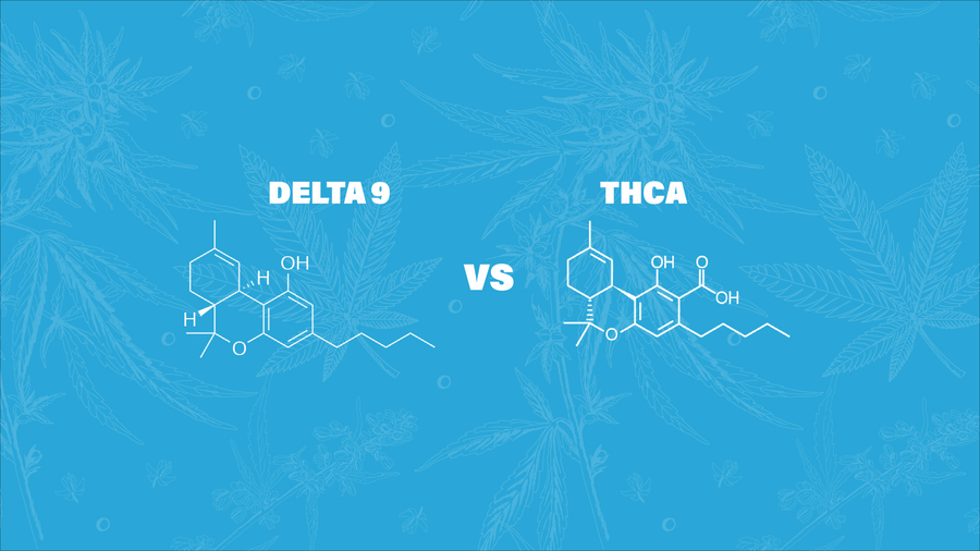 THCA Vs Delta 9 - Exploring The Differences | Little High