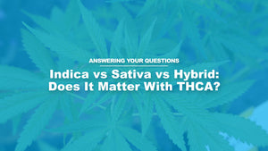 Indica vs Sativa vs Hybrid: Does It Matter With THCA?