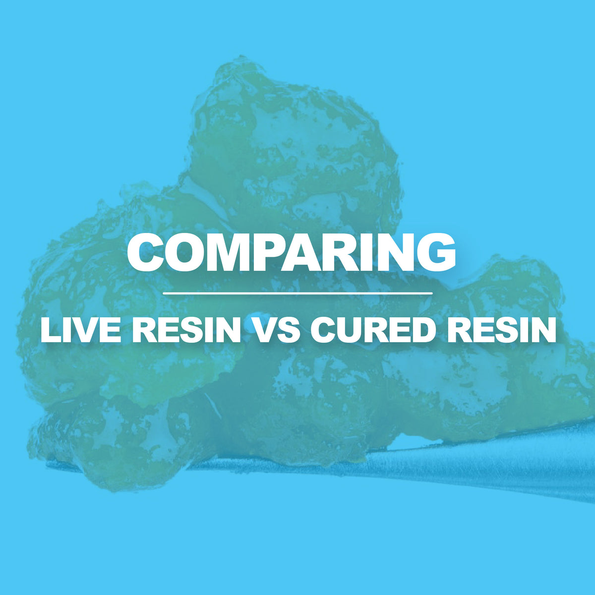 Live Resin Vs Cured Resin – Little High