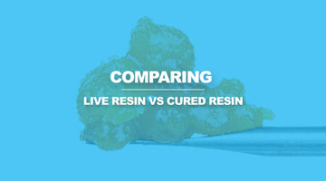 Live Resin VS Cured Resin