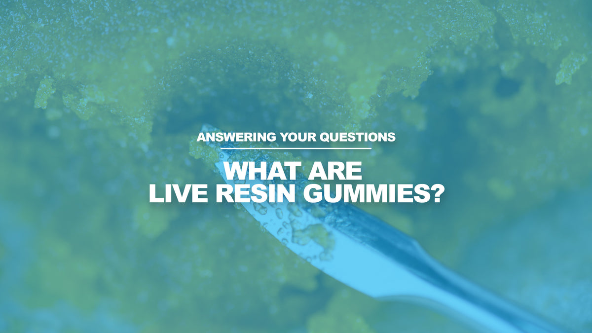 What Are Live Resin Gummies?