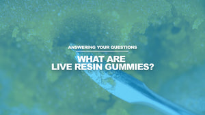 What Are Live Resin Gummies?