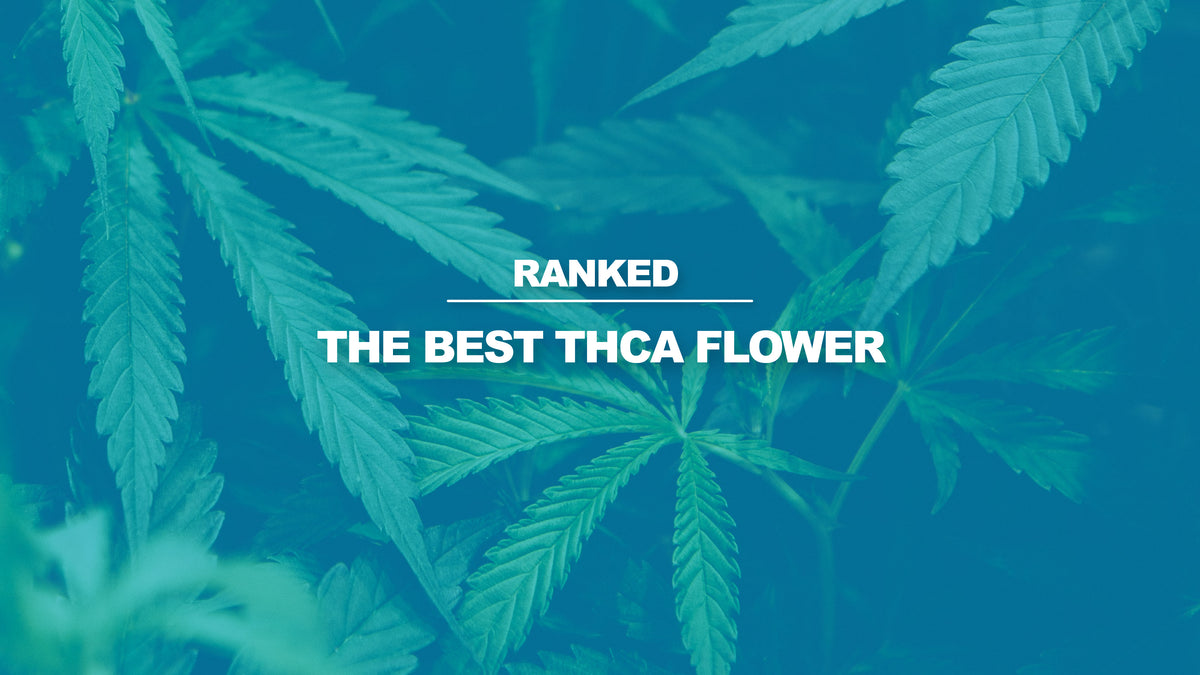 Best THCA Flower: The Top Picks in 2024