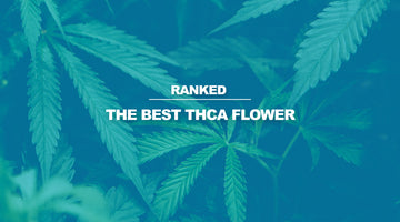 Best THCA Flower: The Top Picks in 2024