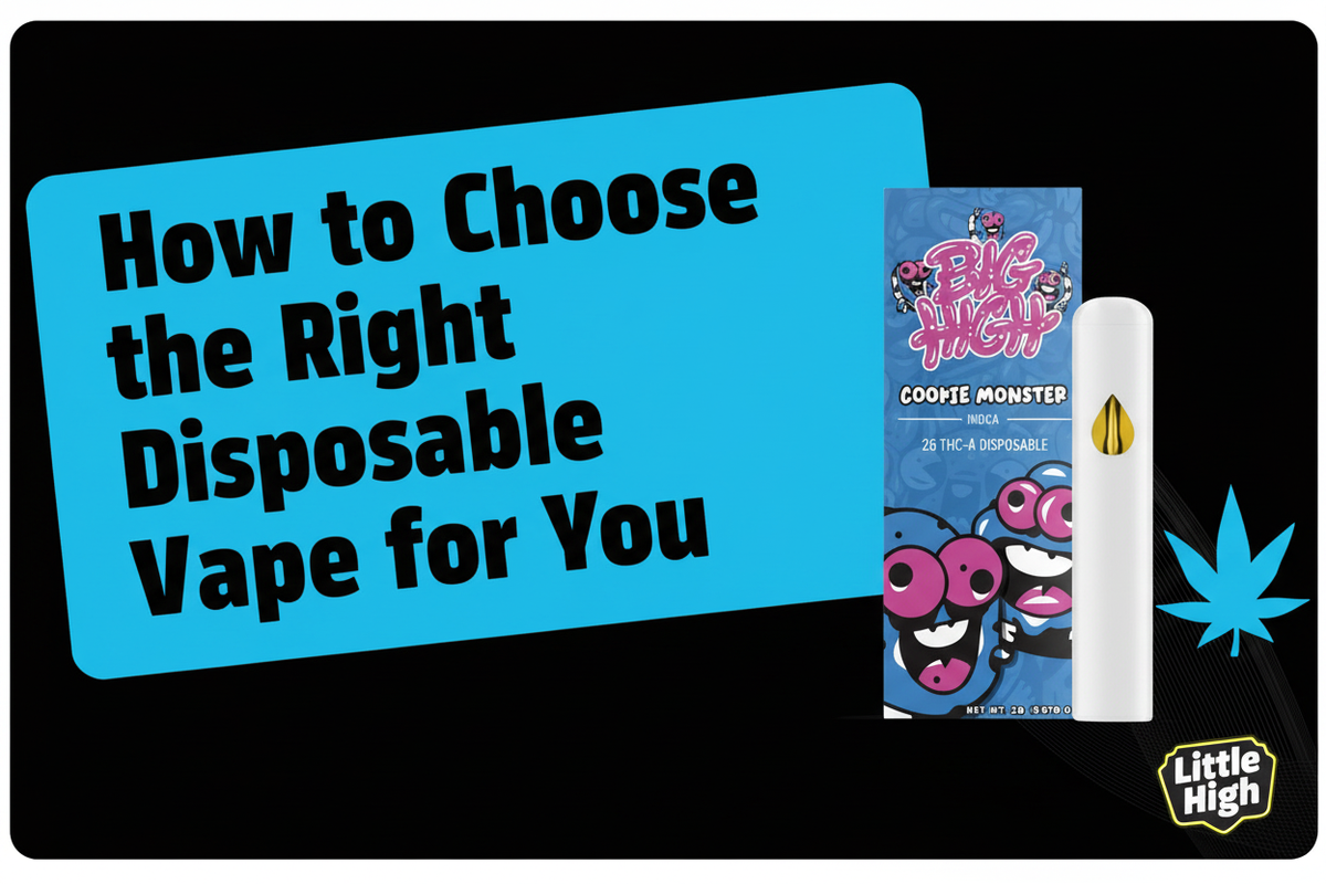 How to Choose the Right THCA Disposable Vape for You - Little High