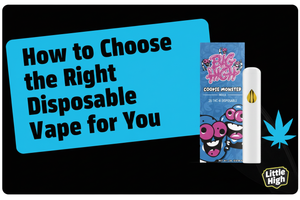 How to Choose the Right THCA Disposable Vape for You - Little High