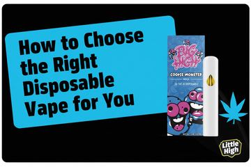 How to Choose the Right THCA Disposable Vape for You - Little High