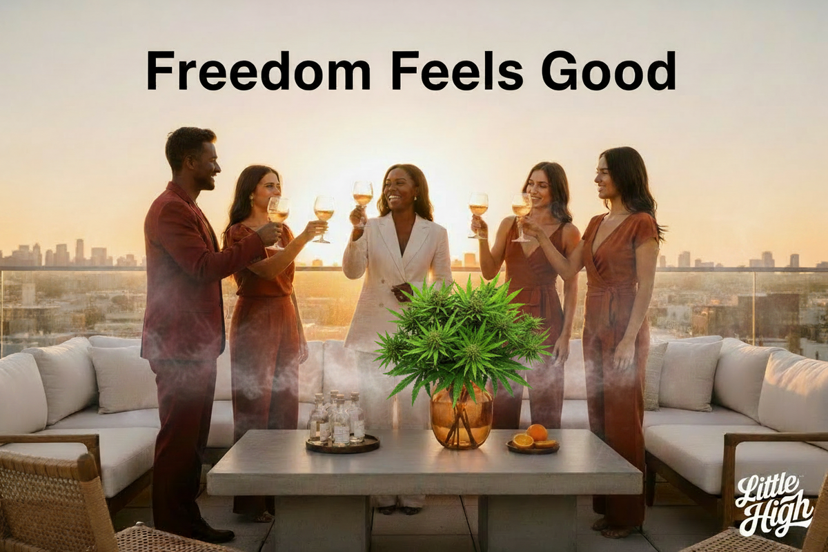 Black friends celebrating Juneteenth outdoors at golden hour — Little High part Black-owned THCA hemp brand, Freedom Feels Good