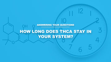 How Long Does THCA Stay in Your System?