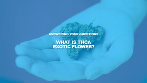 What is THCA Exotic Flower? How Does it Differ From Traditional THCA Flower