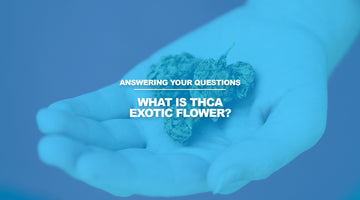 What is THCA Exotic Flower? How Does it Differ From Traditional THCA Flower