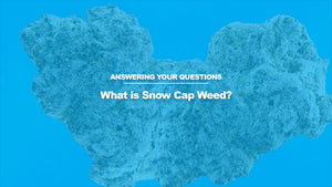What is Snow Cap Weed?