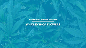 What Is THCA Flower?