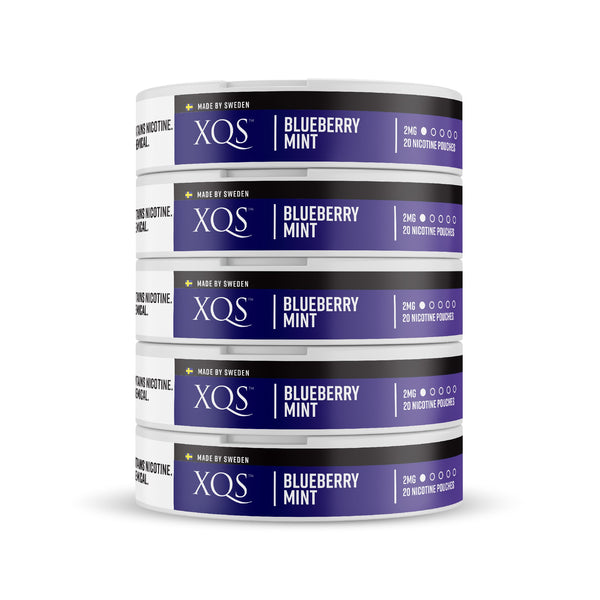 Blueberry Mint nicotine pouches by XQS in a 5-pack, featuring blue and green pouches with fresh mint and blueberry flavor.
